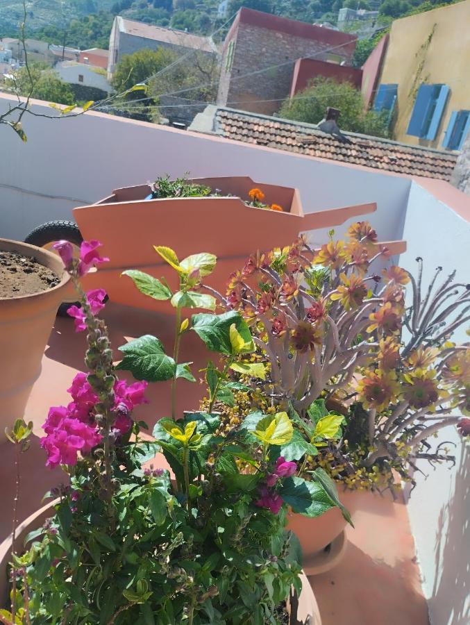 Sokratis Apartments Symi Room photo